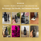 High-Potency Organic Black Seed Oil 3% Thymoquinone | Cold-Pressed Nigella Sativa